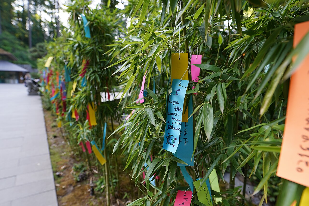 Tanabata wish papers hanging from bamboo decorations
